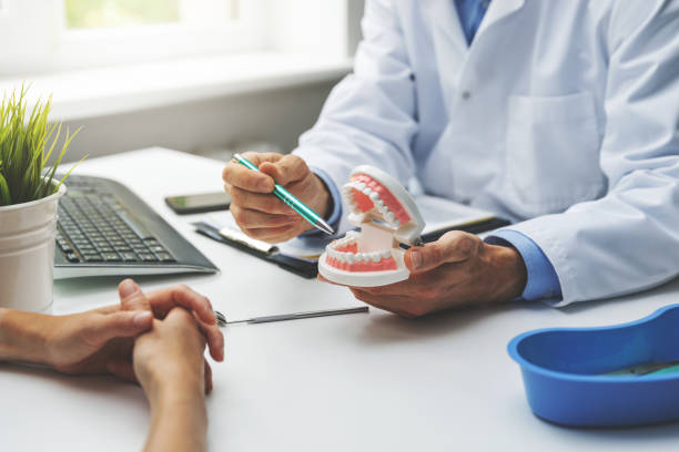 Dental X-Rays and Imaging in Siesta Key, FL