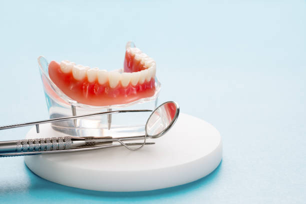 Siesta Key, FL Holistic Dental Care Services Company
